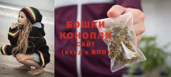 гашик Богданович