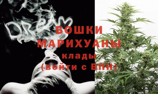 гашик Богданович