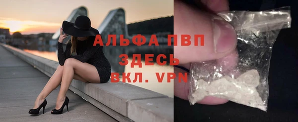 гашик Богданович