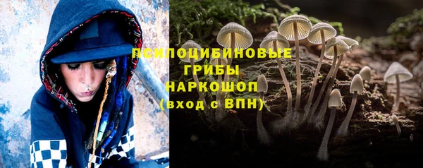 эйфоретик Сосновка