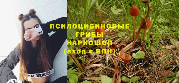 PSILOCYBIN Сосновоборск